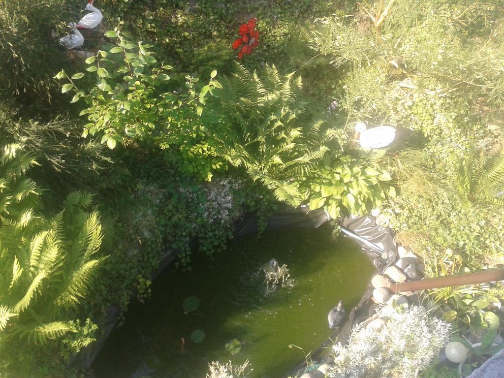 Dom Pod Roza Apartment Lesna Bagian luar foto