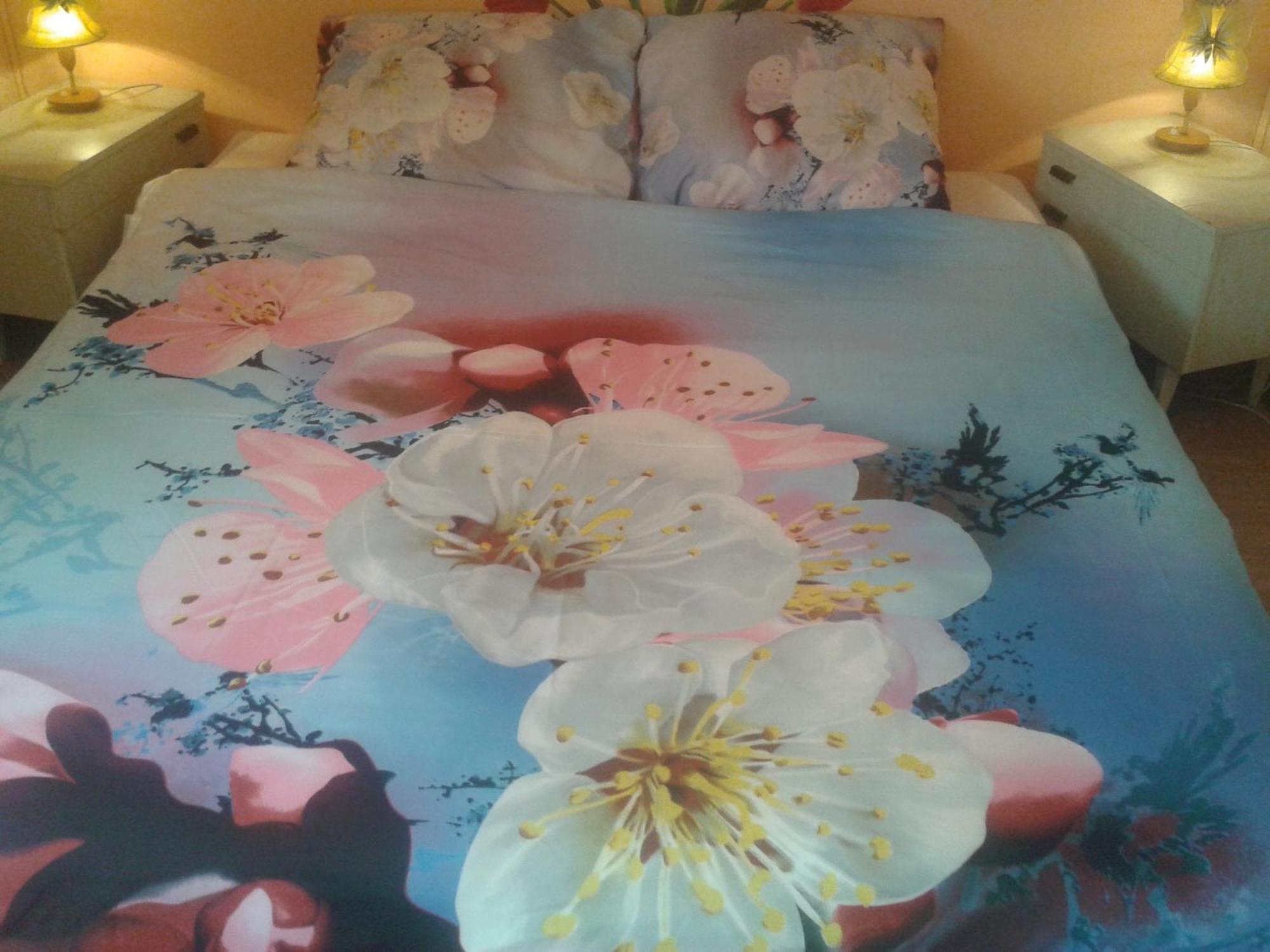 Dom Pod Roza Apartment Lesna Bagian luar foto