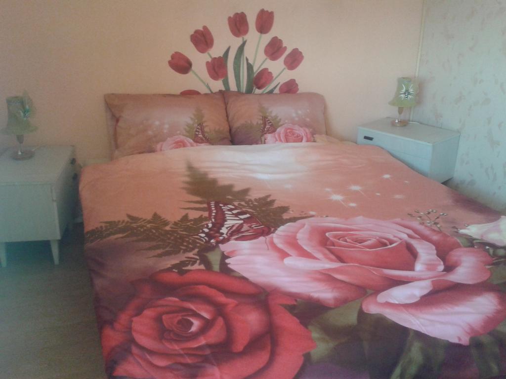 Dom Pod Roza Apartment Lesna Ruang foto