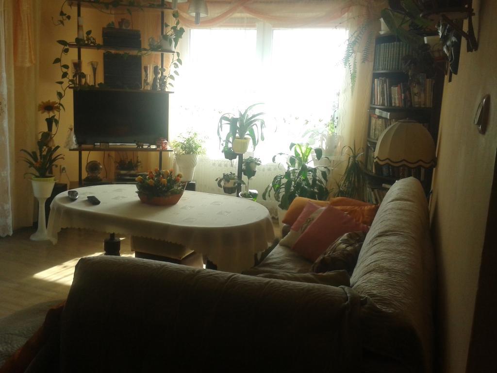 Dom Pod Roza Apartment Lesna Bagian luar foto